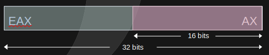 EAX and AX registers