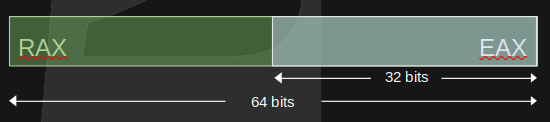 RAX and EAX registers