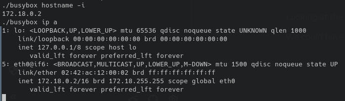 Obtaining the IP address